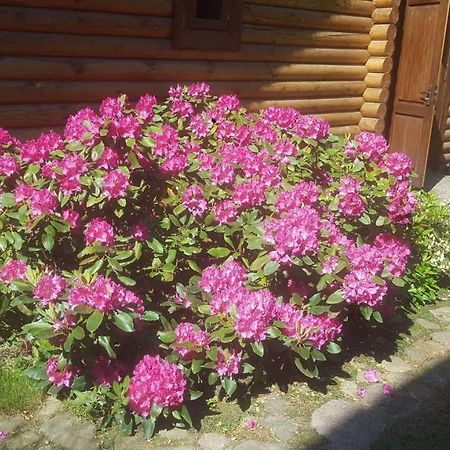 Sveciu Namelis Šiauliai Exterior foto