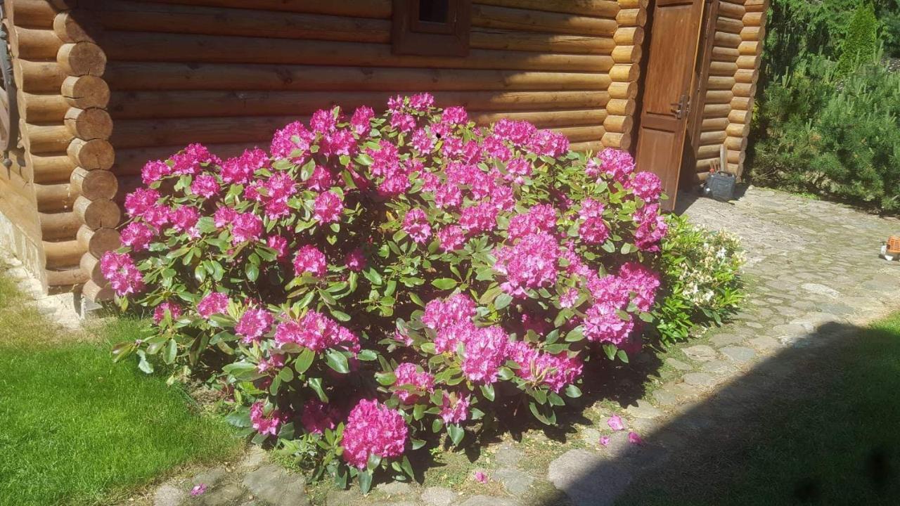 Sveciu Namelis Šiauliai Exterior foto
